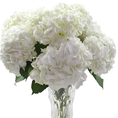 funeral flower arrangements
